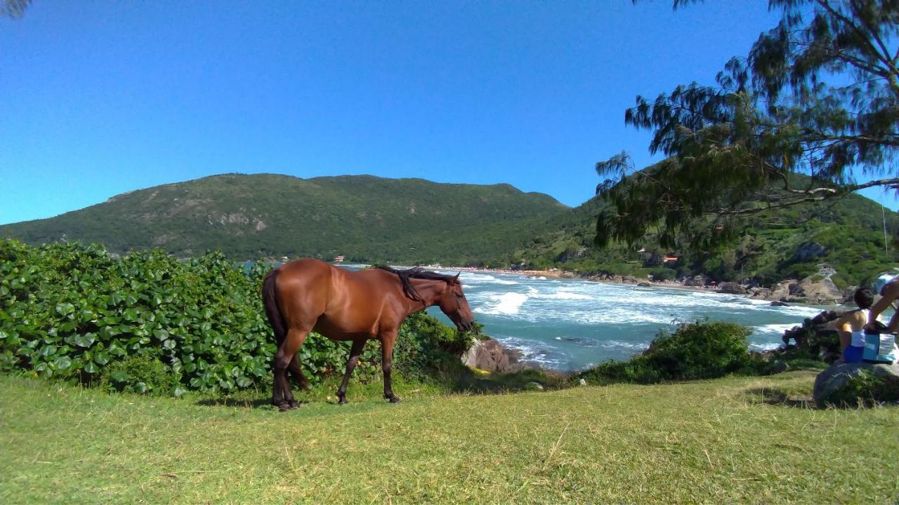 Chale Praia Da Armacao ฟลอเรียนอโปลิส ภายนอก รูปภาพ